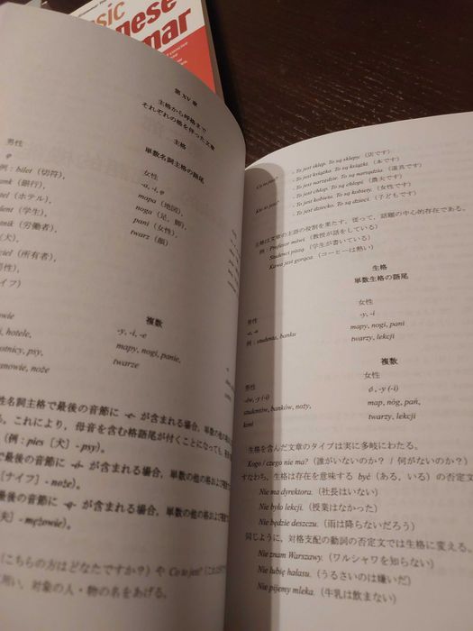 Gramatyka polska po japonsku