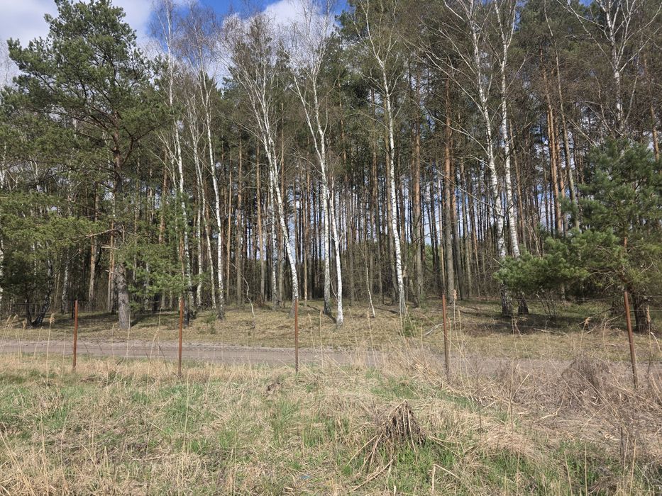 Dom parterowy przy lesie w  Zamościu - Widok 5