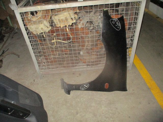 Guarda-lamas esquerdo RENAULT Clio II (BB0/1/2_, CB0/1/2_)
