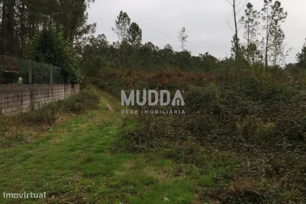 Venda Terreno