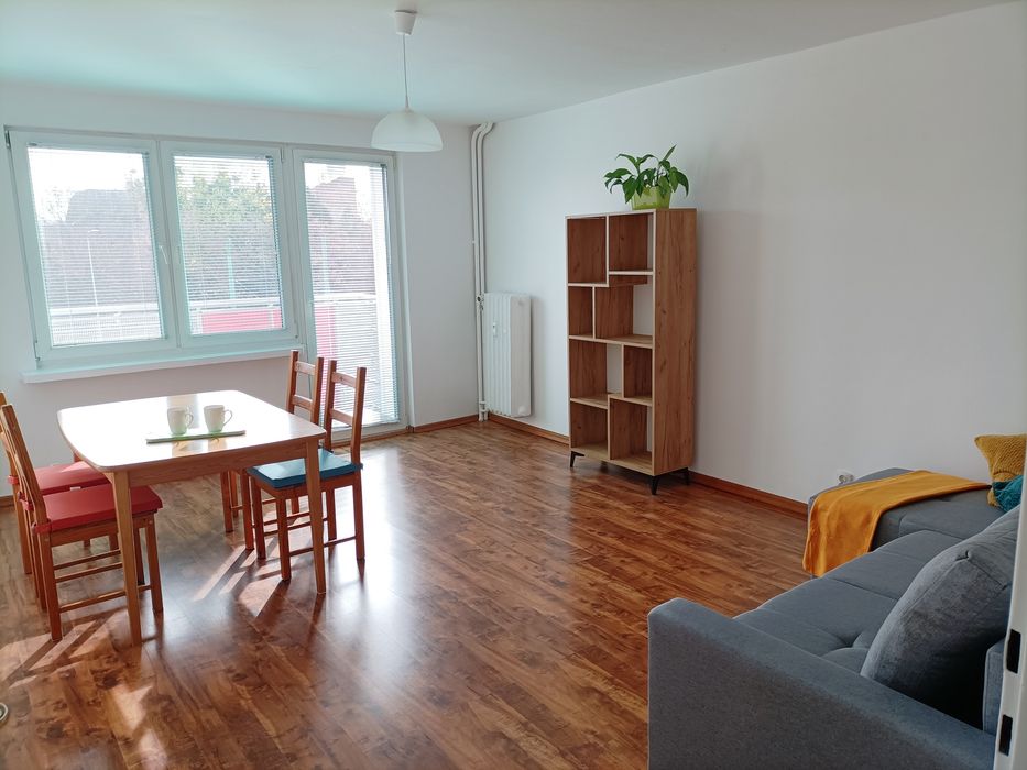 REZERWACJA. Grunwald, mieszk 55m, 2 pok, osobna kuchnia z jadalnią, balkon, wynajem bezpośredni - Widok 3