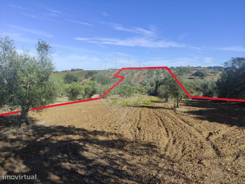 Terreno  para venda