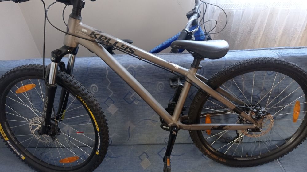 Kellys whip 10 dirt