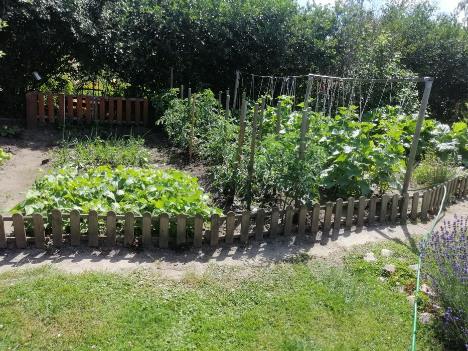 Działka ROD blisko centrum miasta