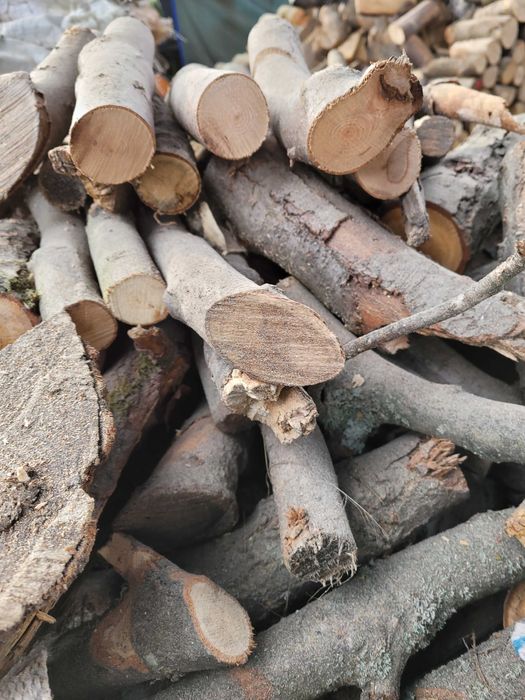 Drewno -Bukowa Gałeziówka