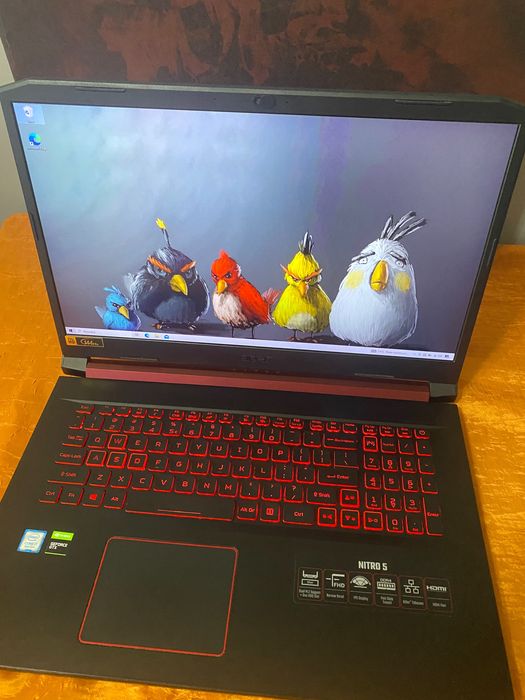 Acer Nitro AN517, 1660Ti 6GB, i7 9TH, 17,3”