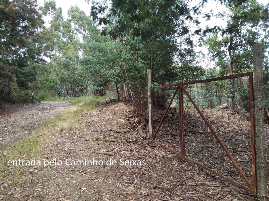 Terreno em Baguim do Monte com 6070M2 (rustico)