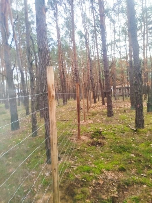 Ogrodzenie budowlane, ogrodzenie tymczasowe, ogrodzenie leśne