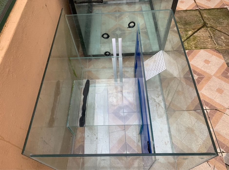 Aquario 550L + sump  412L