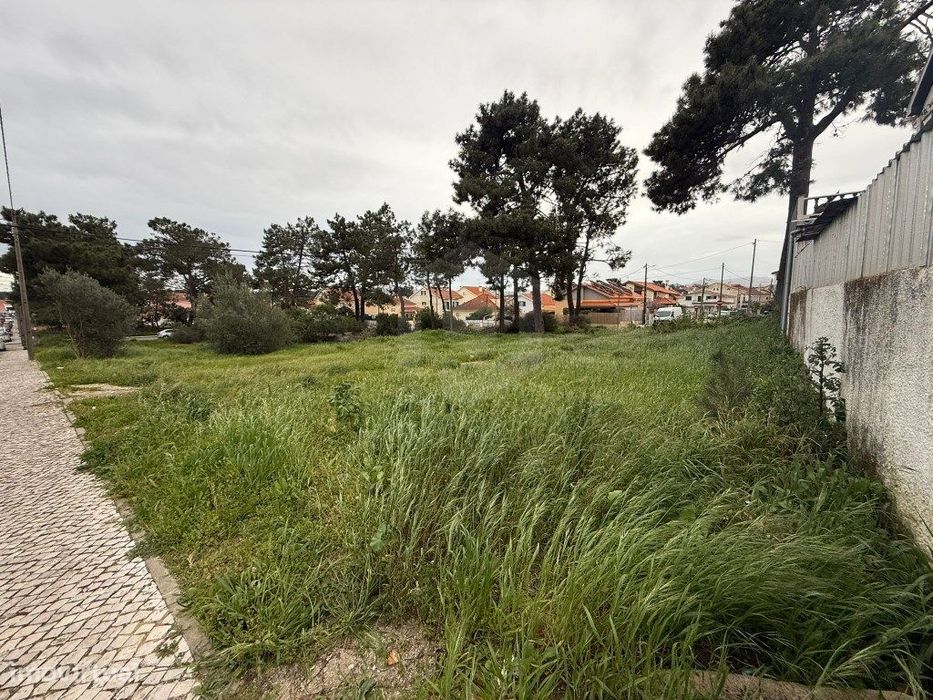 Terreno Urbano para Investimento - Excelente Oportunidade na Quinta...