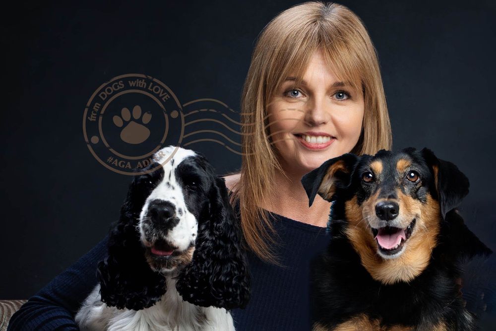 Domowa opieka nad psem, dyplomowany behawiorysta, hotel dla psa