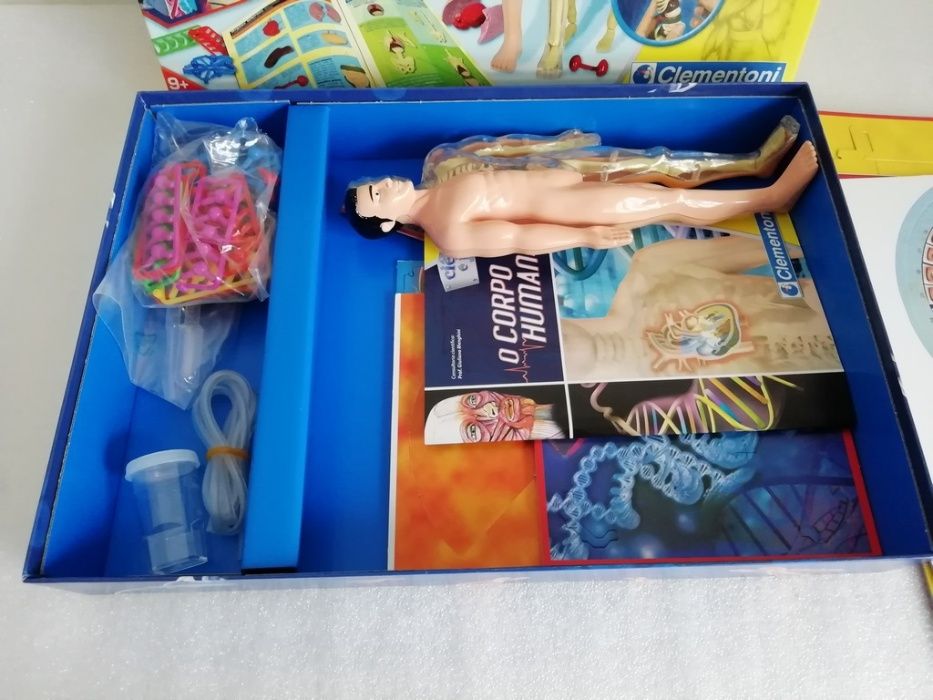 Jogo "O Corpo Humano" (9+)
