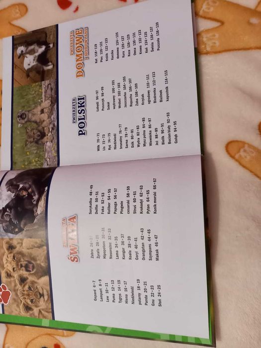 Zwierzęta i ich dzieci