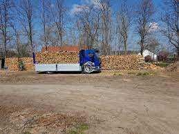 Колоті дрова здоставкою складометрами дуб акація граб клен береза сосн