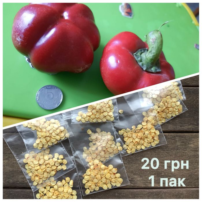 Семена Гогошар