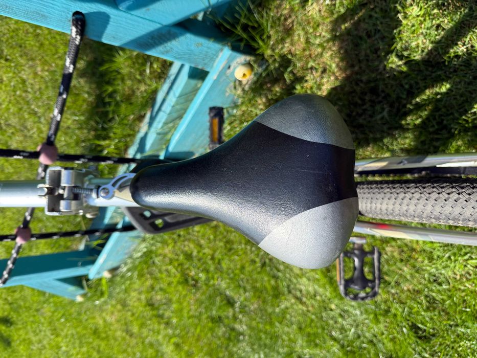 Przyczepka dla dziecka weeride