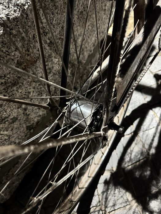 Bicicleta pasteleira