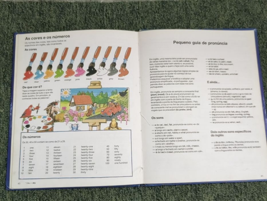 Livro "Inglês para Principiantes" de Angela Wilkes