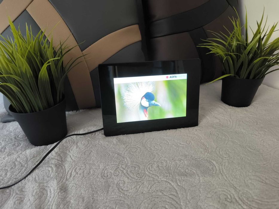 Cyfrowa ramka zdjeciowa AgfaPhoto 7' cali