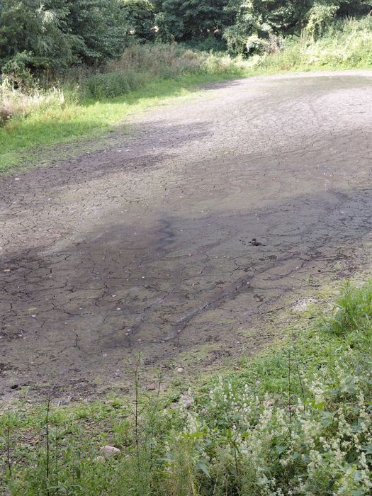 Oddam ziemię za pogłębienie stawu