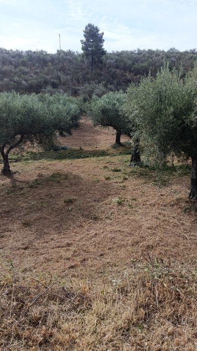 Limpezas de terrenos e caminhos aldeias etc