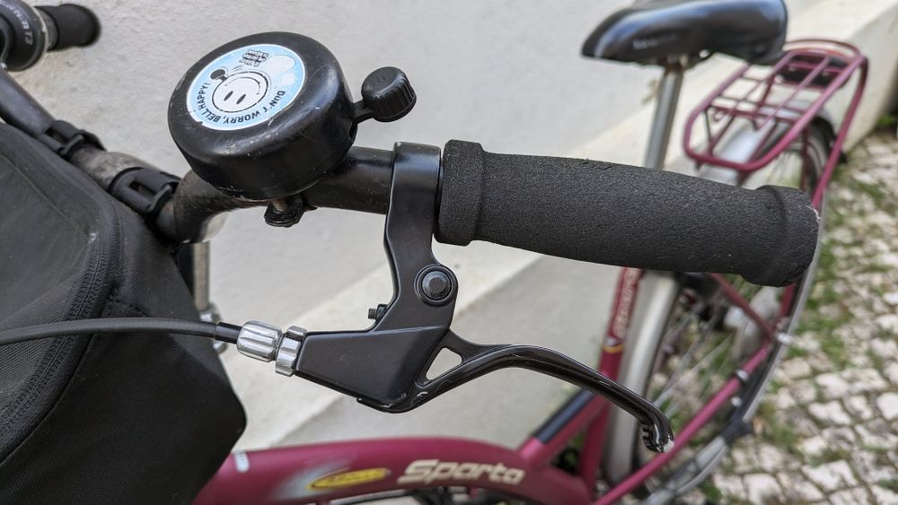 Bicicleta holandesa Sparta Apolo