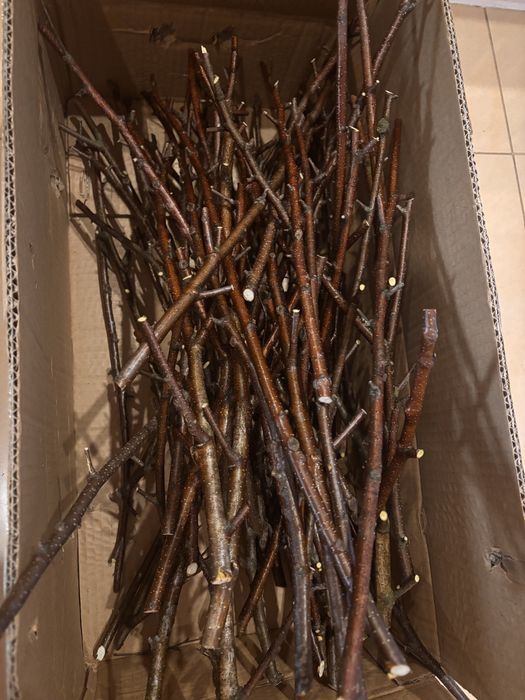 Gałązki naturalne dla papug 2,5 kg