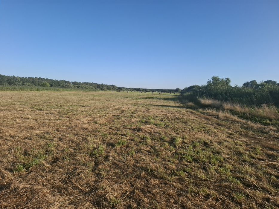 Sprzedam łąkę 2.72ha