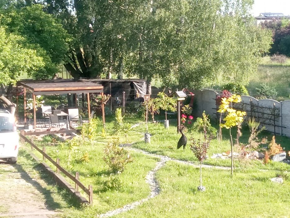 Koszenie karczowanie nasadzenia wycinka