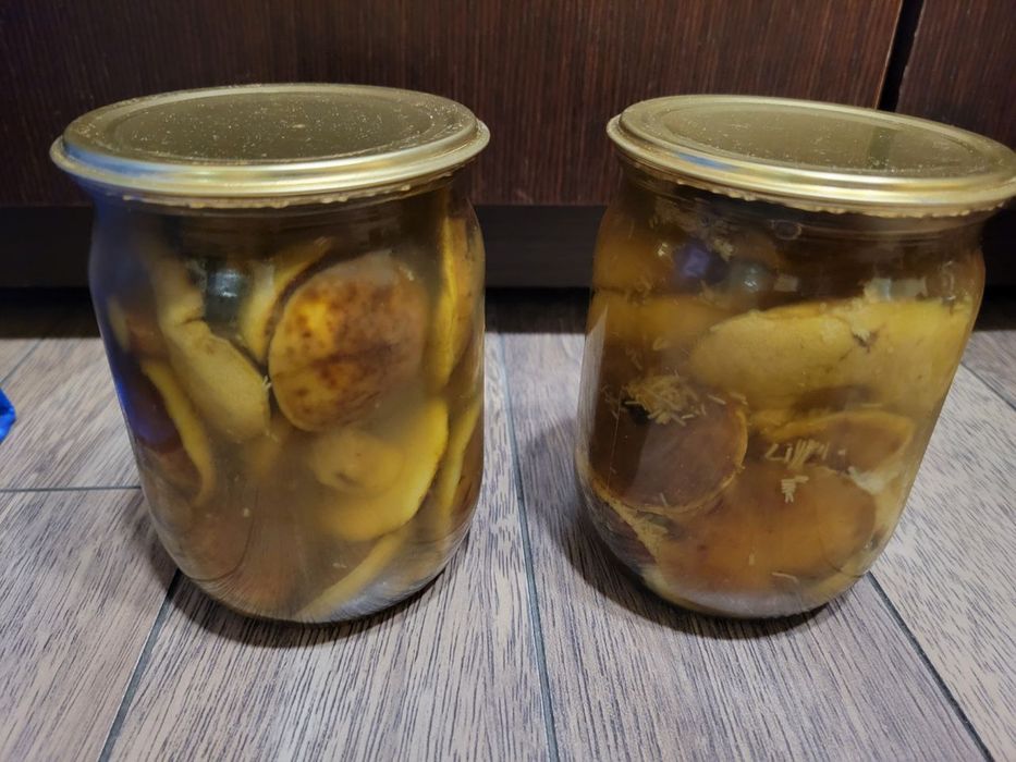 мариновані грибочки 2025: білі гриби, польські, маслюки, лисички