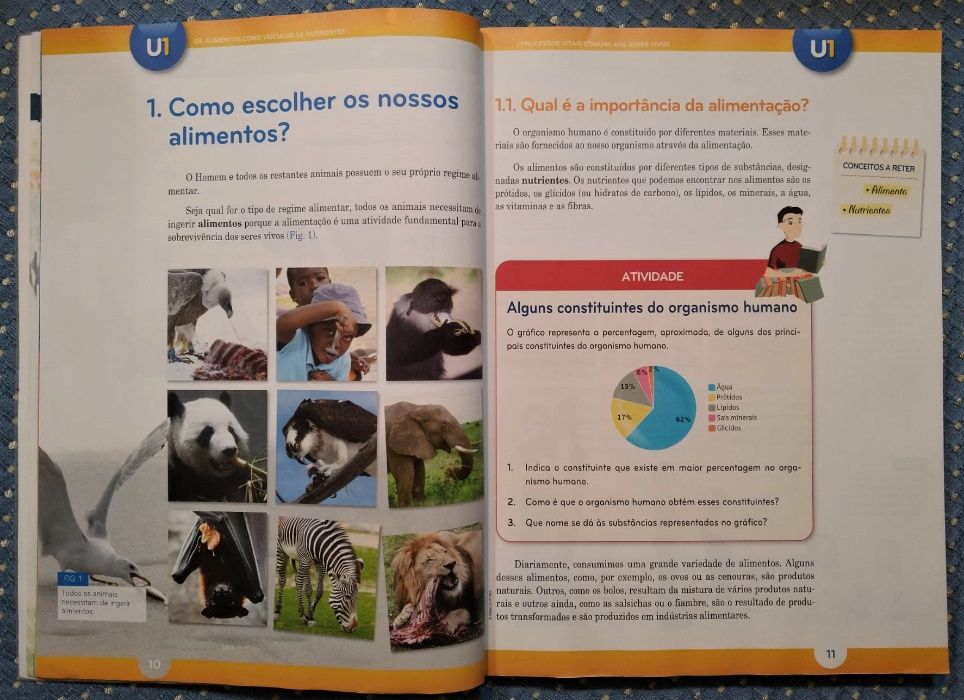 "Natura 6 Natural Sciences 6th Grade" Textbook + Activity Workbook + CD-ROM64286395703041122