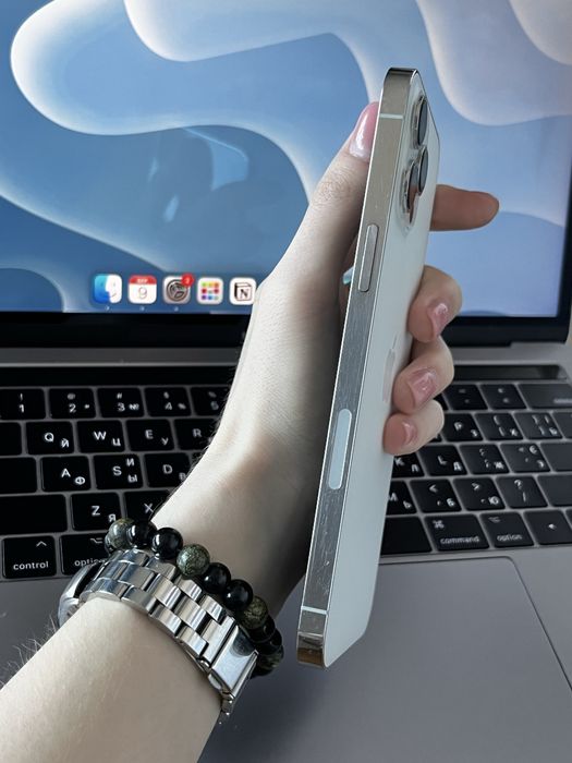 iPhone 12 Pro Max 256 GB