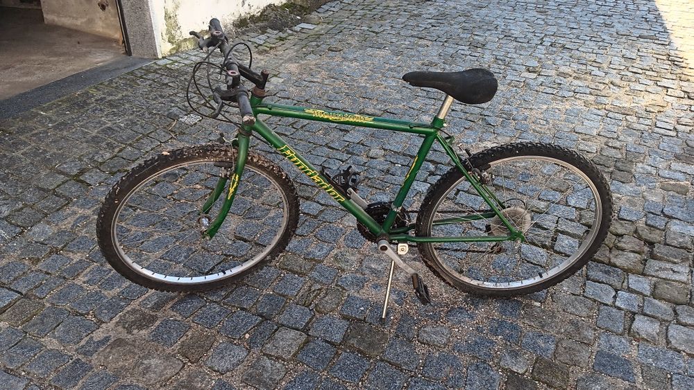 Bicicleta de adulto