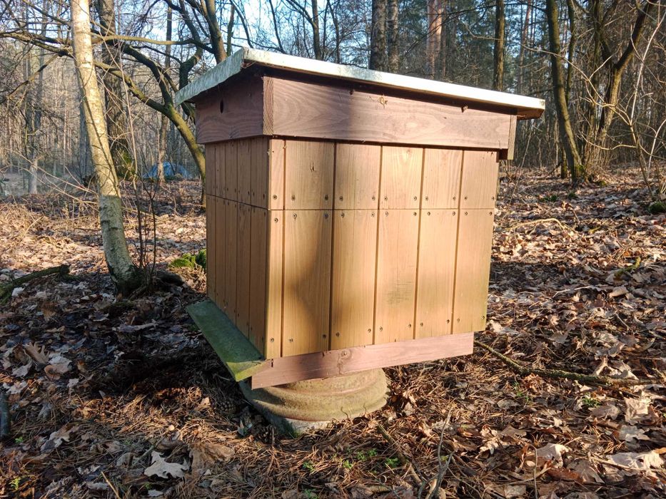 Ule dadant drewniane