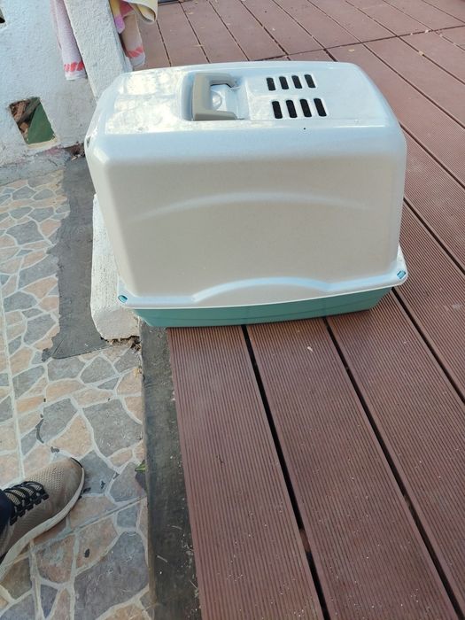 Caixa de areia para gato