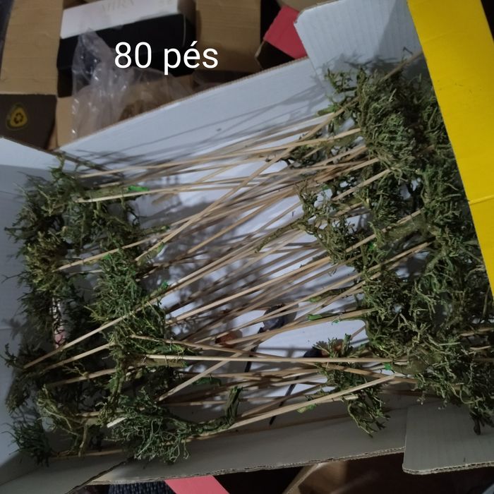 Folhagem/galhos secos preservados