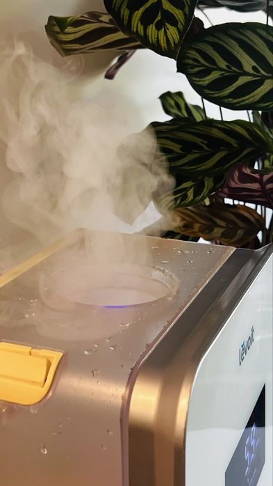 Humidificador de ar / plantas