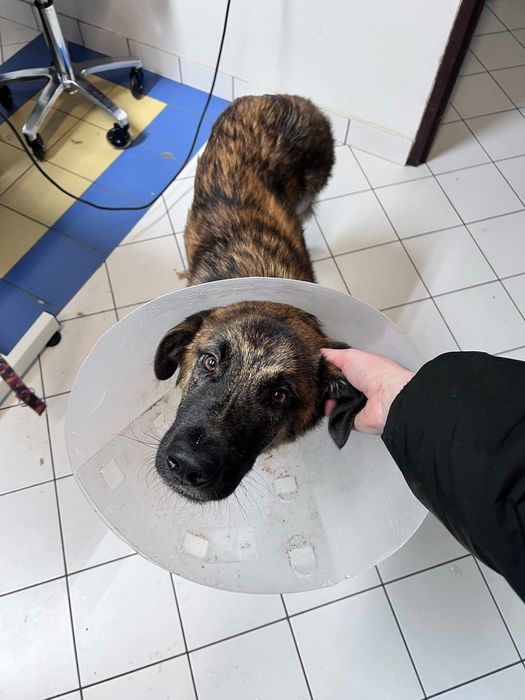 Neptunek szuka swojej chaty