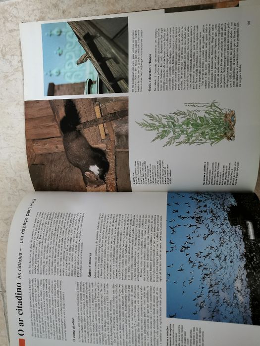 Enciclopédia "Esta Terra Magnífica"