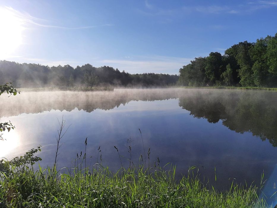 Новорічні свята. Оренда котеджів під Києвом подобово