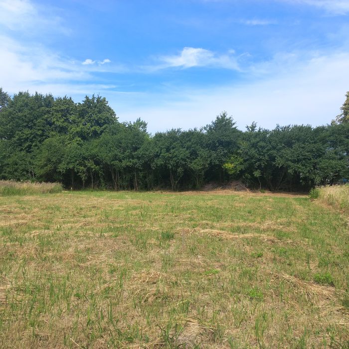 Земельна ділянка для будівництва в с.Дуліби