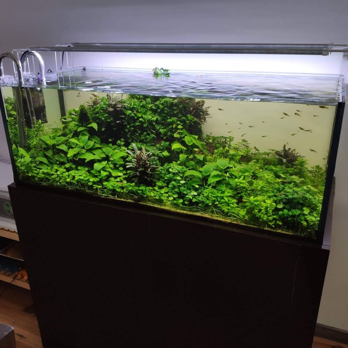 Iluminação led 100cm + controlador aquário