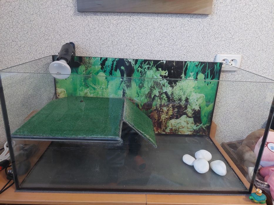 Акваріум для черепахи