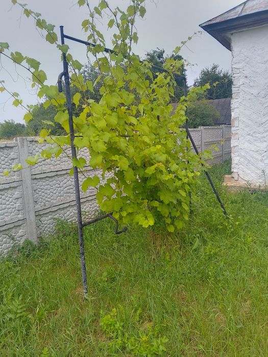 Продається будинок!!!