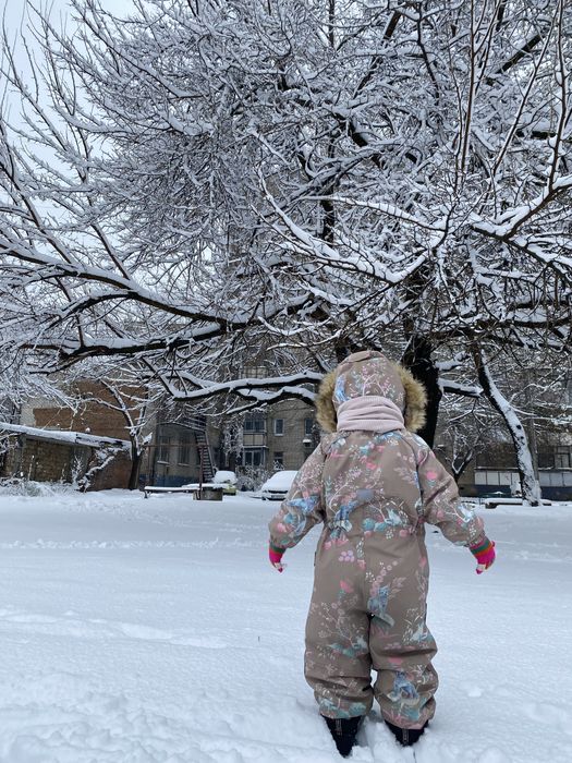 Reima Зимовий комбінезон Lappi 5100129С Коричневий Regular Fit