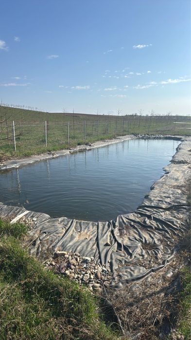 Бізнес Поле продаж