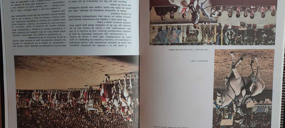 Portugal e os seus cavalos