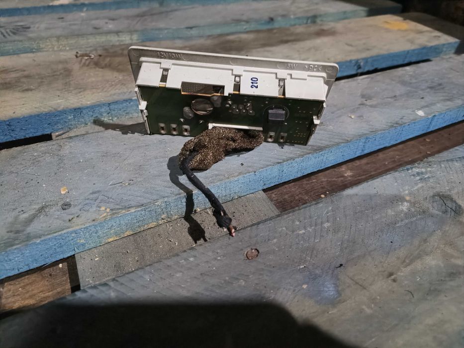 REF231 Luz do teto Seat Alhambra 7V 1.9 TDI Diesel 115 cv 2000