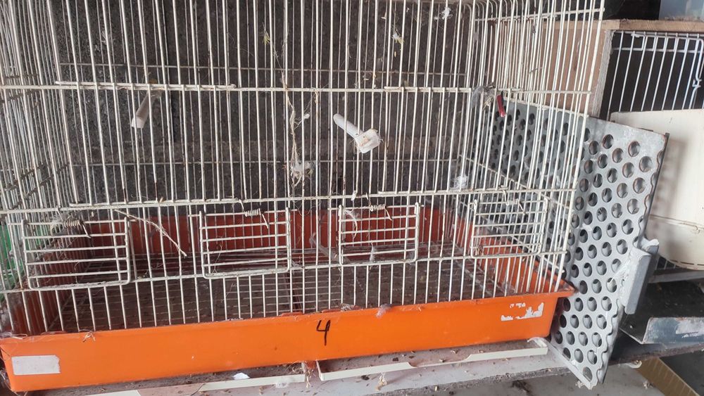 Gaiolas  em bom estado