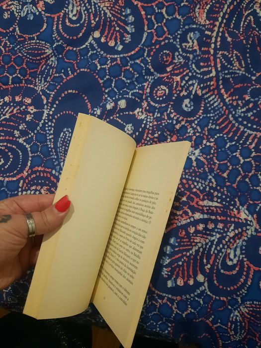 Livro Profundo Silêncio das manhãs de domingo